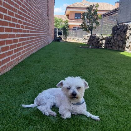 jardinesconcespedartificial.com