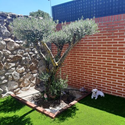 jardinesconcespedartificial.com