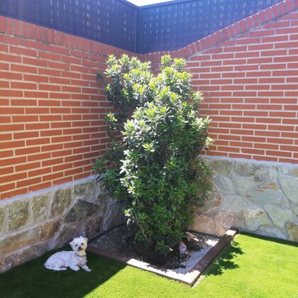 jardinesconcespedartificial.com